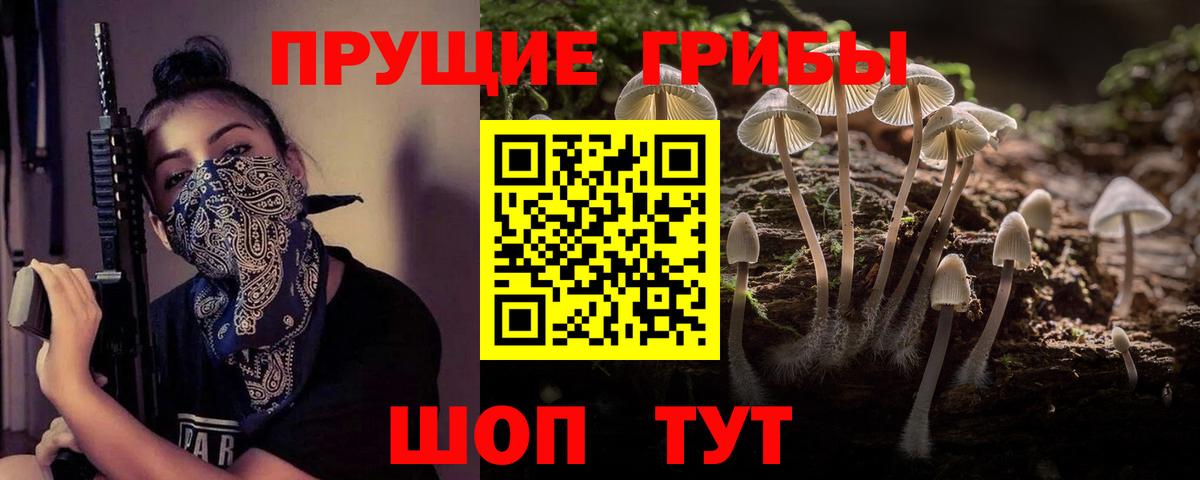 Псилоцибиновые грибы Magic Shrooms  Галлюциногенные грибы ЛСД  Вход с VPN  Абакан 
